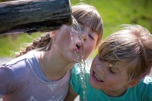 Leia mais sobre o artigo Benefícios de Beber Água